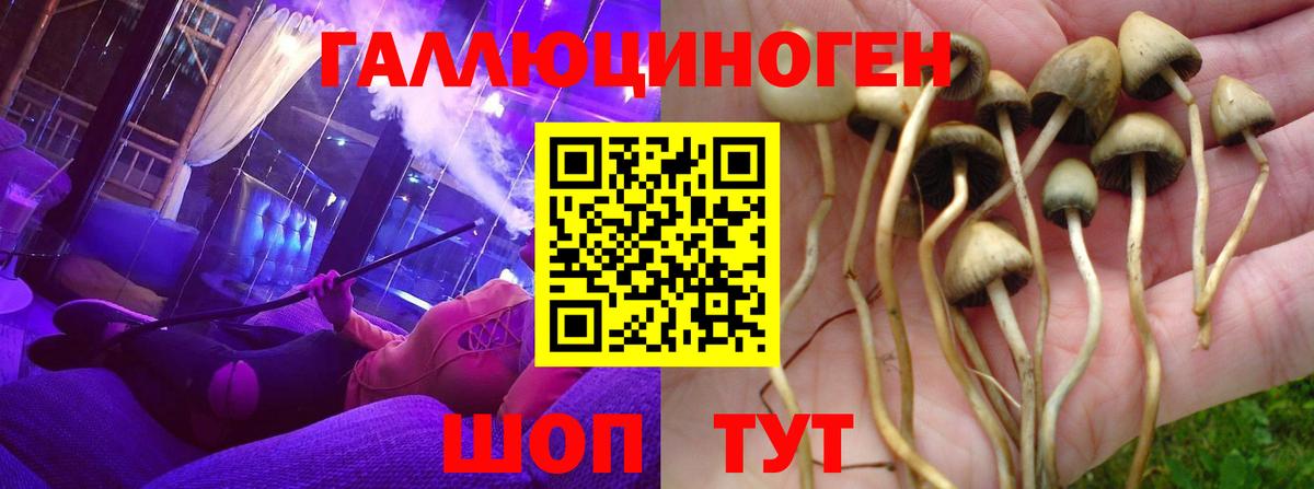 купить наркотик  Галлюциногенные грибы ЛСД  Югорск  Вход с VPN  Псилоцибиновые грибы MAGIC MUSHROOMS 